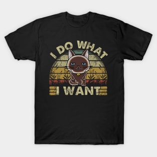 I Do What I Want Cat Funny Humor T-Shirt